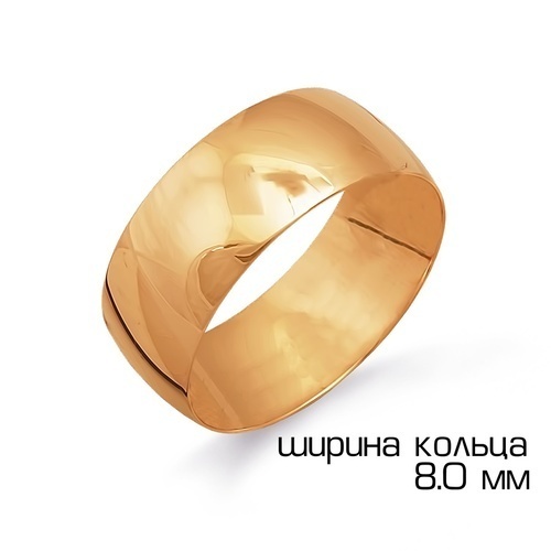 Т100011424